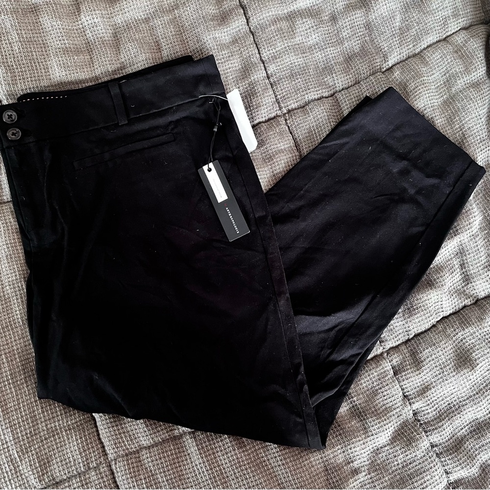 Women’s size 20 The Essential slim by Anthropologie pants NWOT